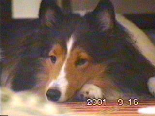 ���N�i00�N�j�̍����́A�܂��T���Ă���ˁB