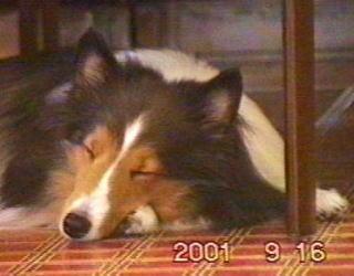 �ł��A���ꂩ������P�N�B