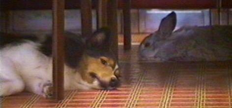 �����Ȃ����āA�K������ˁB