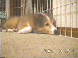 �˂��I�ށ[������