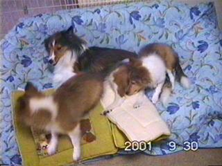 �܂邿��񓥂܂ꂽ��R��ꂽ��