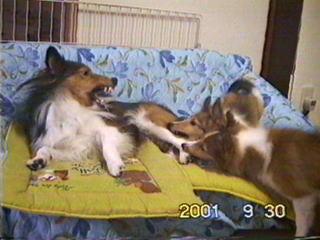 ���܂ꂽ��i���j