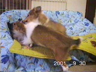 �ڂ�ꂽ��i�勃�j