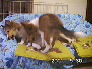 �����ꂽ��i�܂�͂ǂ����`�H�j