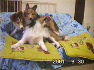 �{��S���I�΂𐁂��܂�I�iW(`0`)W �K�I�H�[!!�j