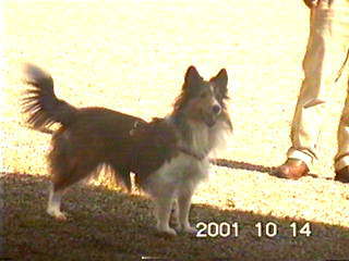 �����ۂ��E�E�E�H�݂����B