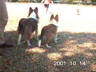 �T�X�K�e�q�I