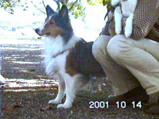 �ށ[������`���I