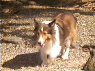 �킽�����ꂽ��I