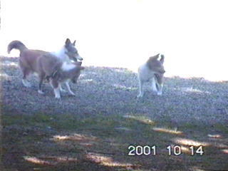 �}�����������ƃ~�j�I�t��I�H