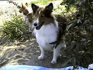 �o�Ԃ�����܂ŋx�e��