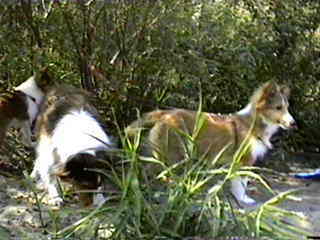 ���񂭂�A������