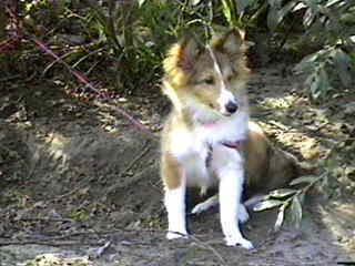 ���E�ɂ͂����Ȃ�񂱂�����񂾂ˁI