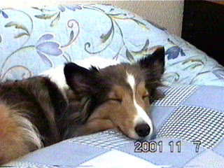 �܂�A���񂽂����`���I