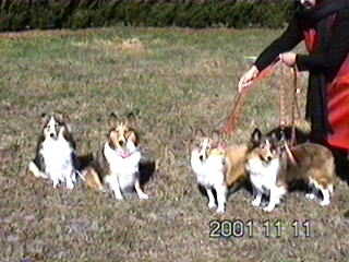 �G�w�w�ǂ��ł��傤��