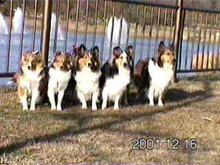 �݂�Ȃ����������ā`��