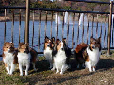 ����I�o�b�`�V��