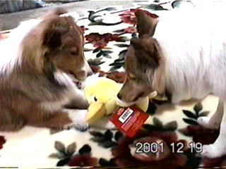 ���Ђ邿����