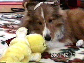 ��`����ς����I