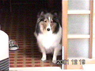 ����`��A����`���B