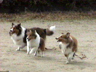 �u����`���A�����������˂��`��v