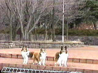 �ߏ��̌���(��)