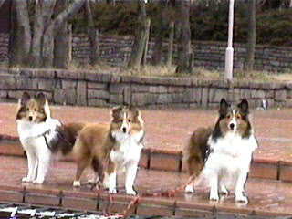 �����Ă�����!!