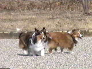 ���`�C�ǂ�I