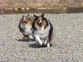 ����΂ꂪ��΂�I