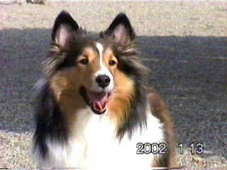 ���l�̂��ꂳ���