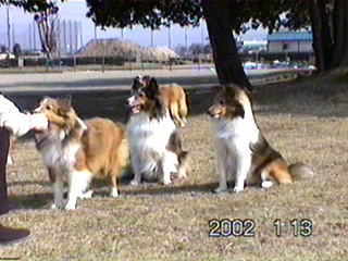 ���҂����ˁ�