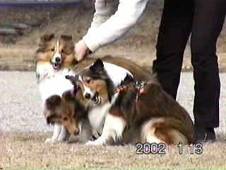 �������Ⴂ�B