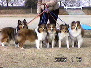 �����Ă�H�I