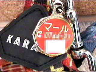 ���O�E�d�b�ԍ��E�A����