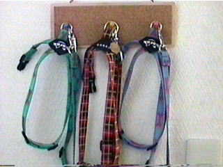 ���ł��o��OK�ł��B(��)