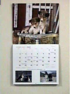 ���킢���V�F���e�B�������ς���