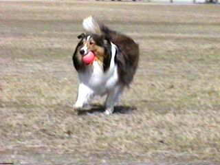 �����ւ�I