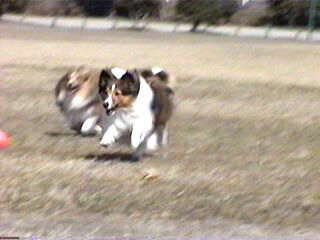 (((((�^^_^)�^�҂đ҂ā[�B