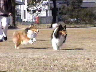 �ށ[�̃W�����v