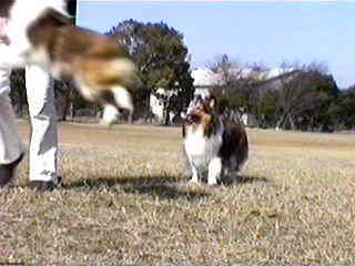 �ꂨ�̃W�����v�i���グ��܂�j