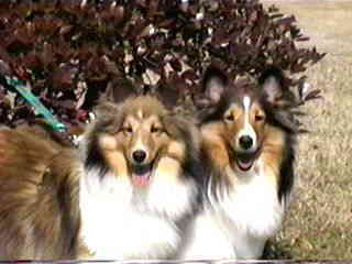 �ꂨ����ƁB