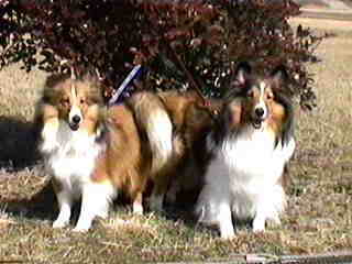 �ށ[�����ƁB