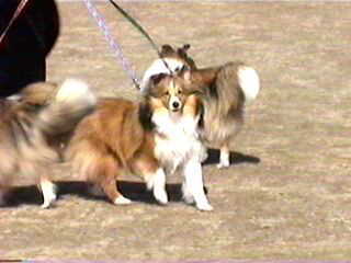 �A�肽���ȁ`���B