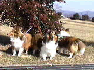 ���䗠�B�B�B