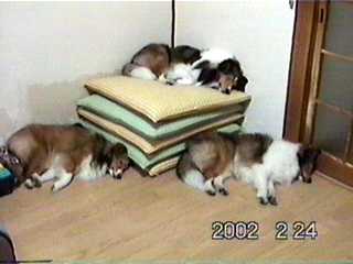 �����T�}�܂��