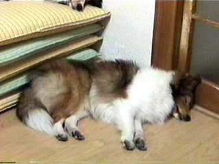 ���₷���