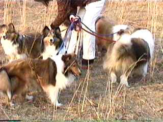 �Ƃ��Ă��E���V�C�킽����