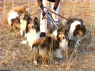 ��������J�����ڐ��B