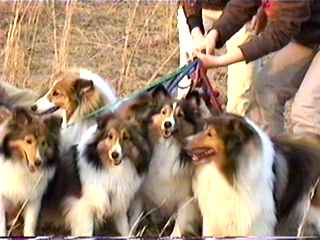 �݂�Ȏ��Ă��܂��ˁB