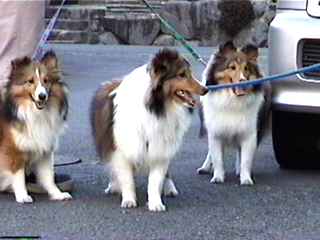 ������A���[���A���I���B���I���B